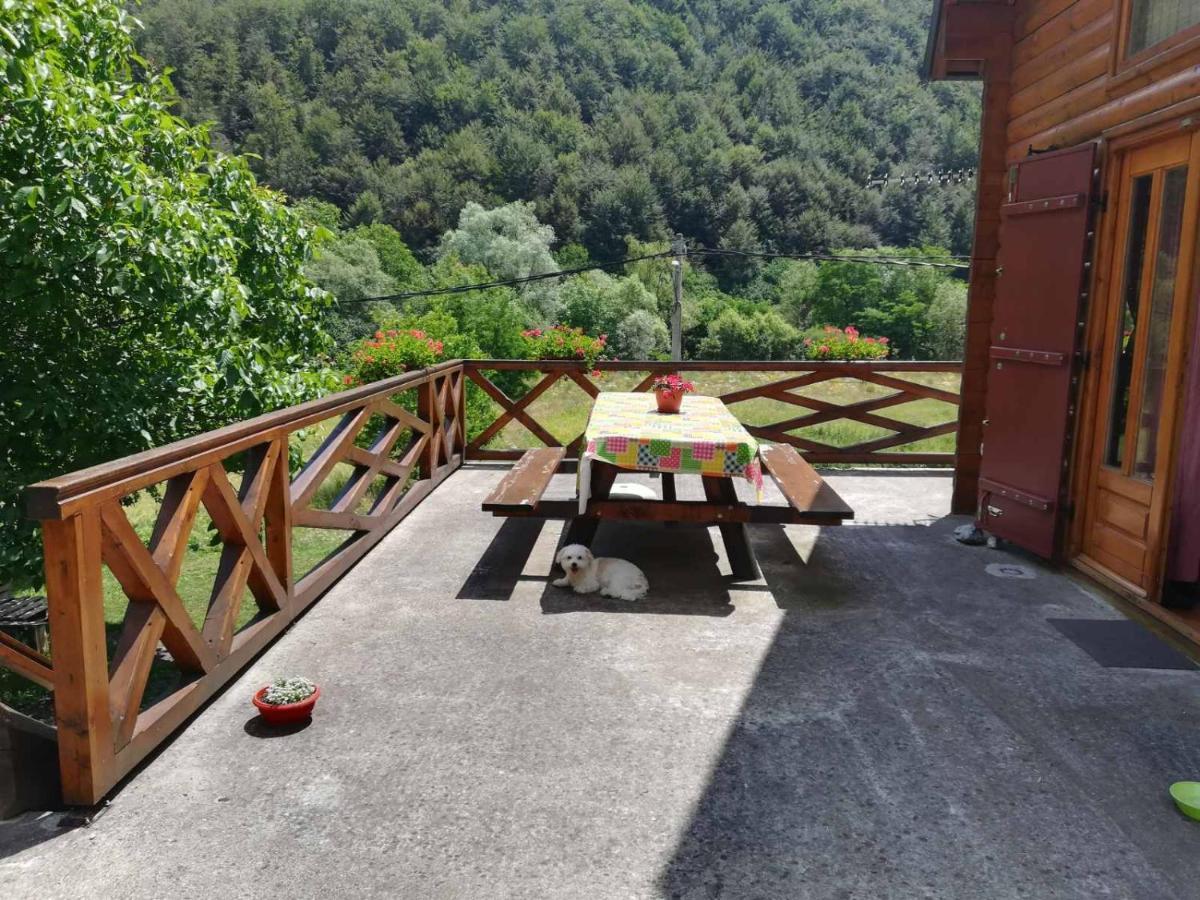 Vila Jelena Crni Vrh ภายนอก รูปภาพ