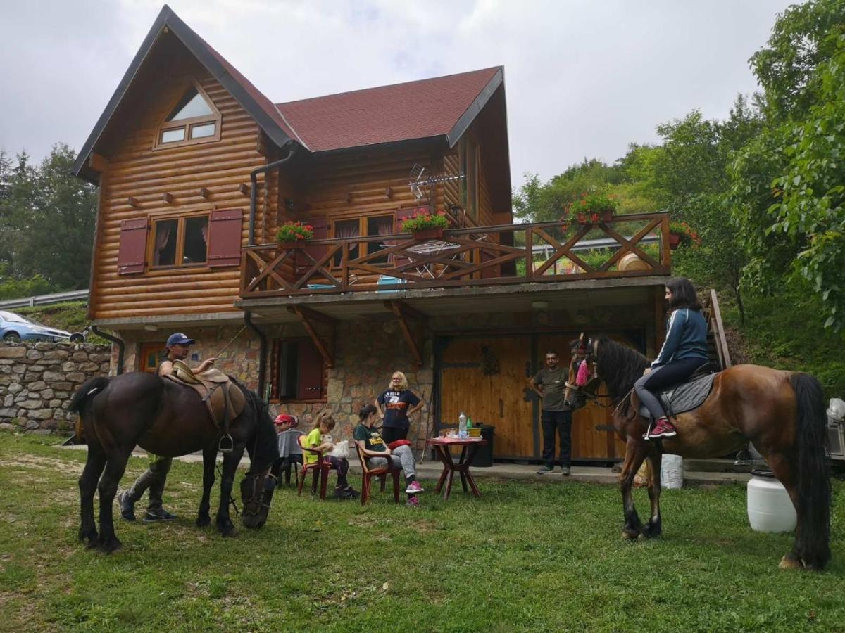 Vila Jelena Crni Vrh ภายนอก รูปภาพ