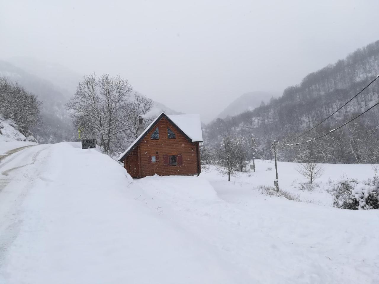 Vila Jelena Crni Vrh ภายนอก รูปภาพ