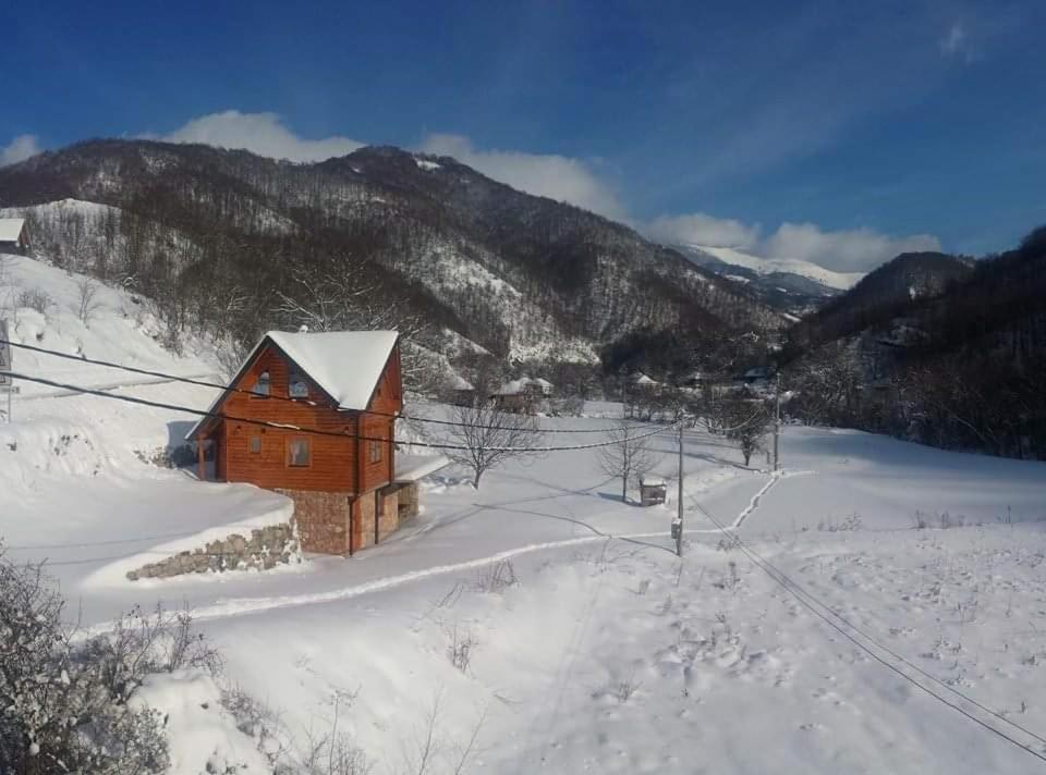 Vila Jelena Crni Vrh ภายนอก รูปภาพ