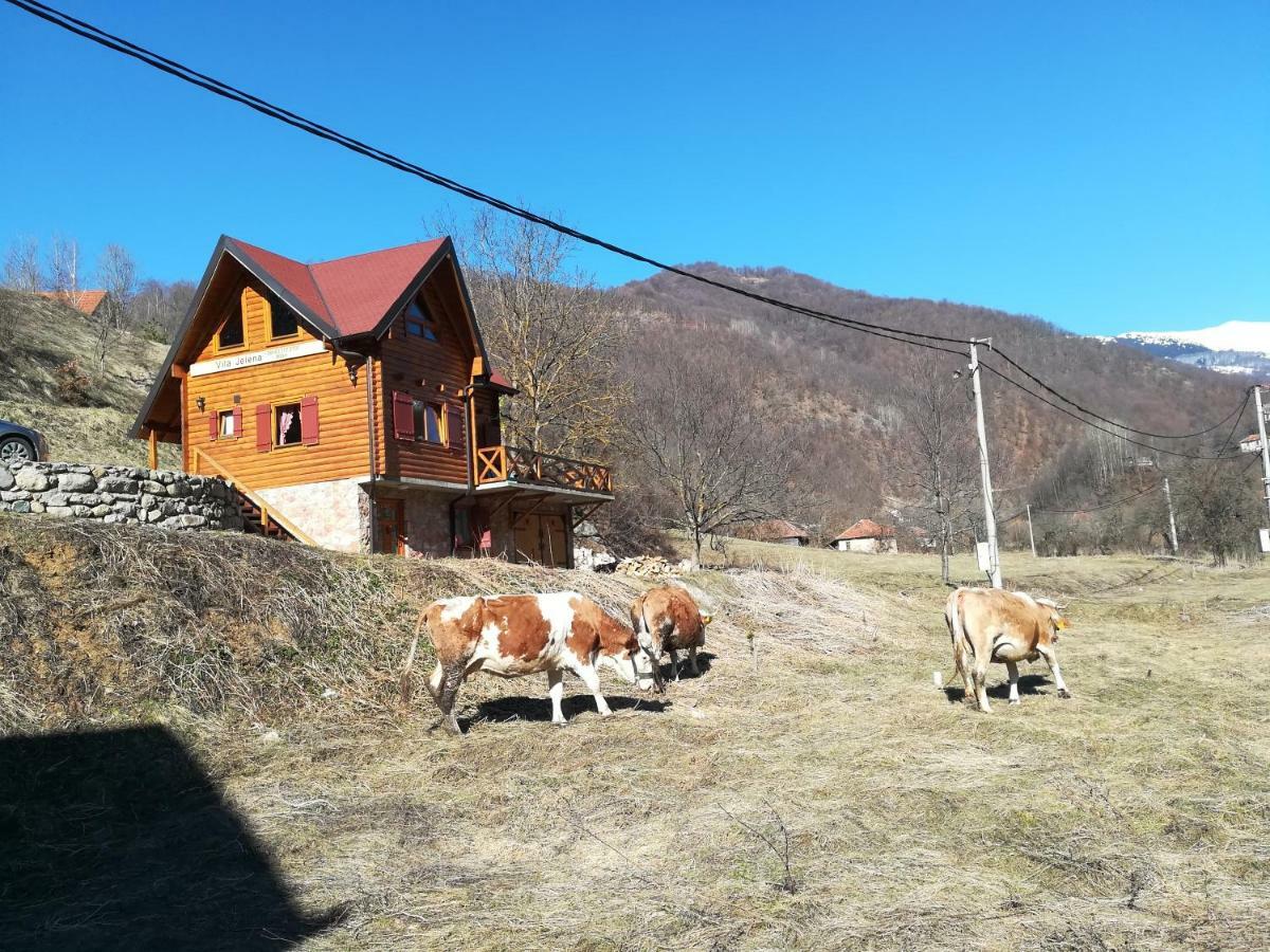 Vila Jelena Crni Vrh ภายนอก รูปภาพ